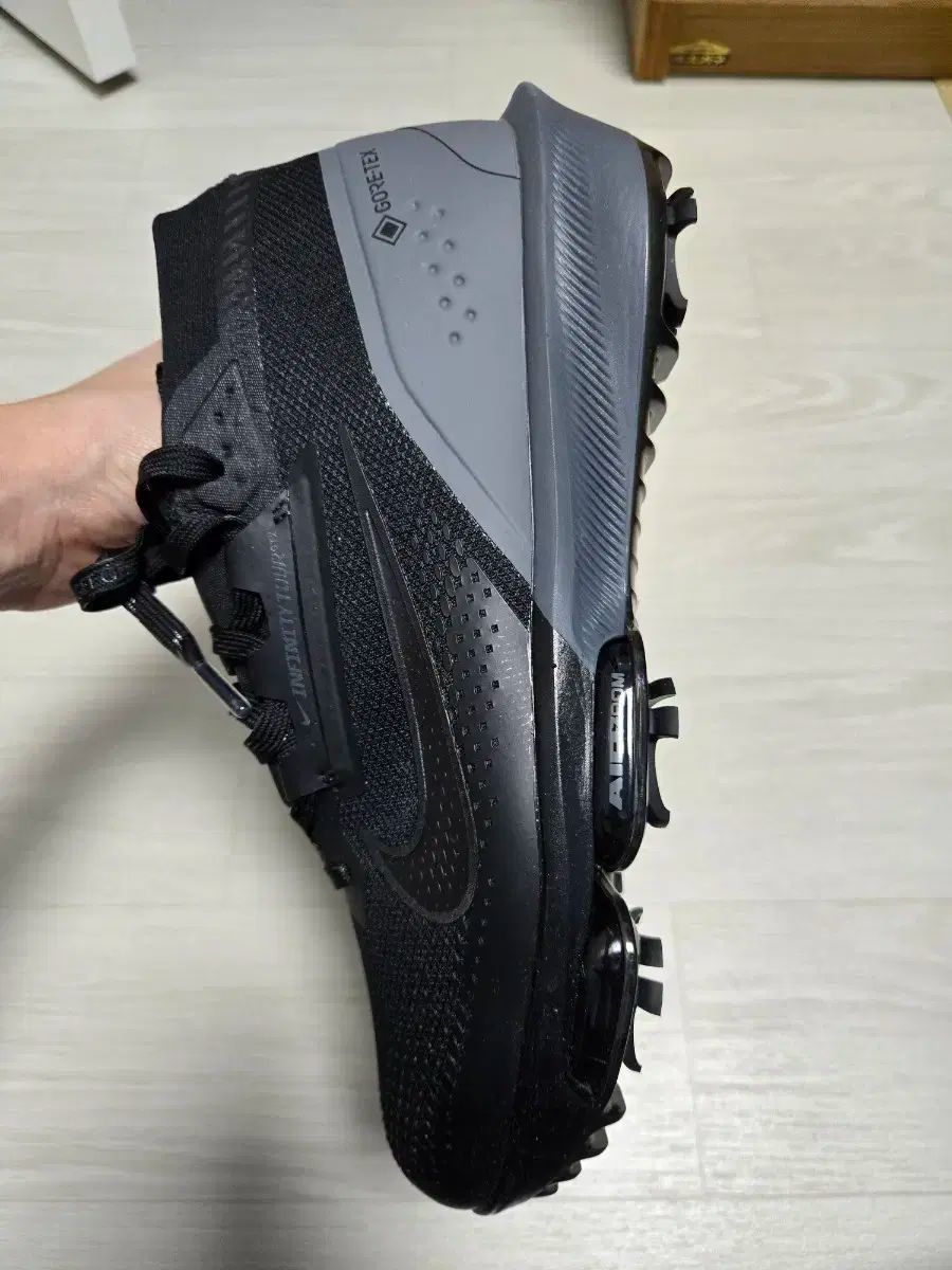 NIKE(ナイキ) インフィニティ ツアー ネクスト 2 GTX W GORE-TEX