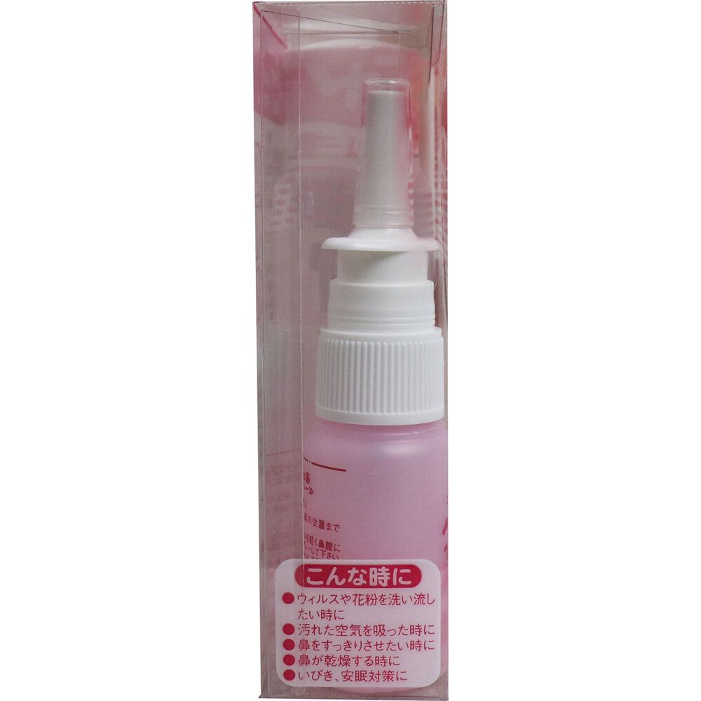 キレイ＆しっとり ハナぴゅあ 洗浄液100mL付き 10個セット まとめ売り