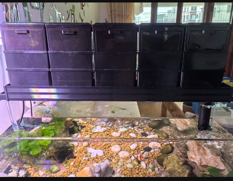 三層式濾過槽水槽三段式上部フィルター物理と生物濾過フィルター硬質ボックス水質メンテナンス効果あり対応水槽90cm以上HE9015個ボックス