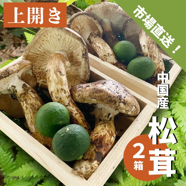 松茸 開き 木箱入り ２箱 ６～８本 中国産 スダチ入り 吸い物 炊き込み