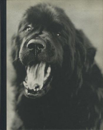 Bruce Weber Gentle Gians ブルース・ウェーバー Bruce Weber Gentle