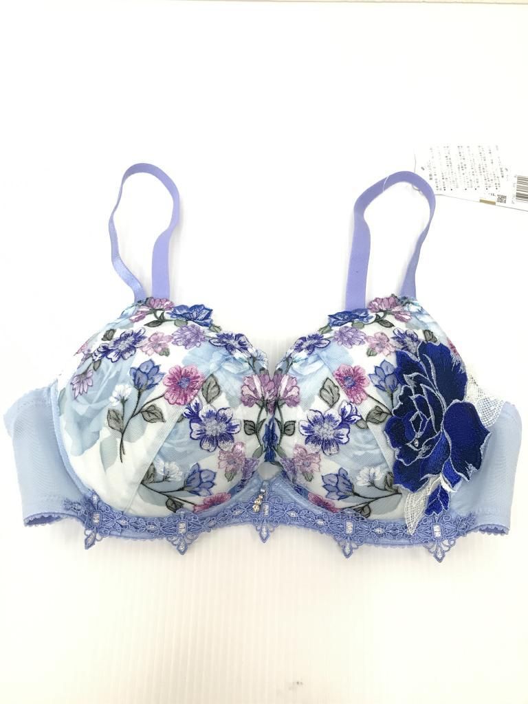 Ｗacoal Salute ワコール ブラジャー 青系 み F75 974480