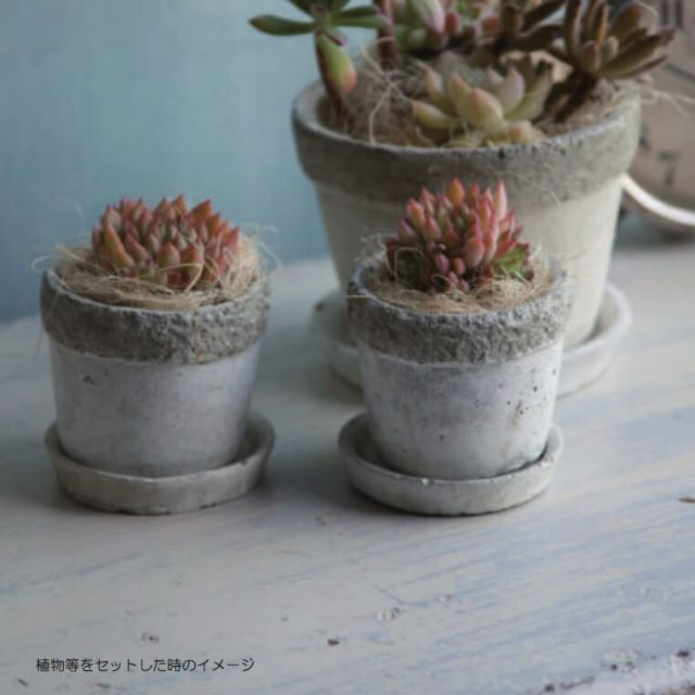 花 観葉植物用ポット リト ラウンド 8 Ceramic POT 8個入り 92101 底穴あり 受皿付き 代引き不可 ミニポット FARM p119 YUZUMIYA_COM