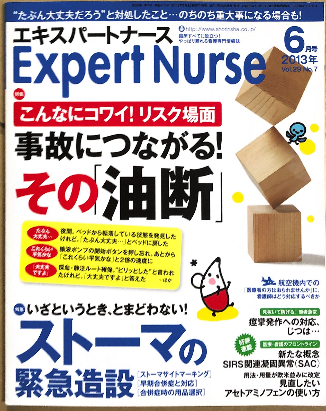 2013年　Expert　管理番号：20230421-3　Nurse　06月号　(エキスパートナース)　[雑誌]　みけねこ堂　メルカリ