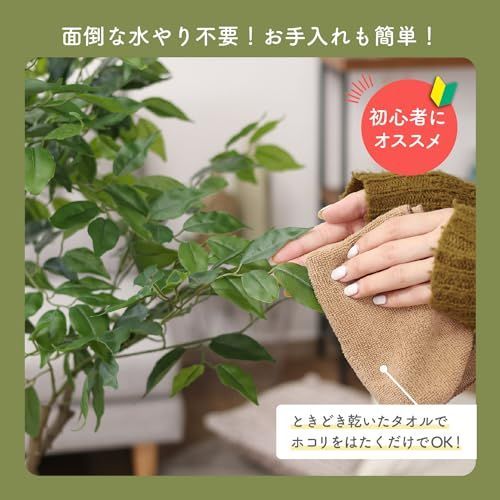 インテリアグリーン フェイクグリーン