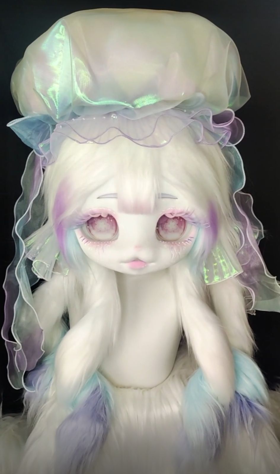 クラゲ