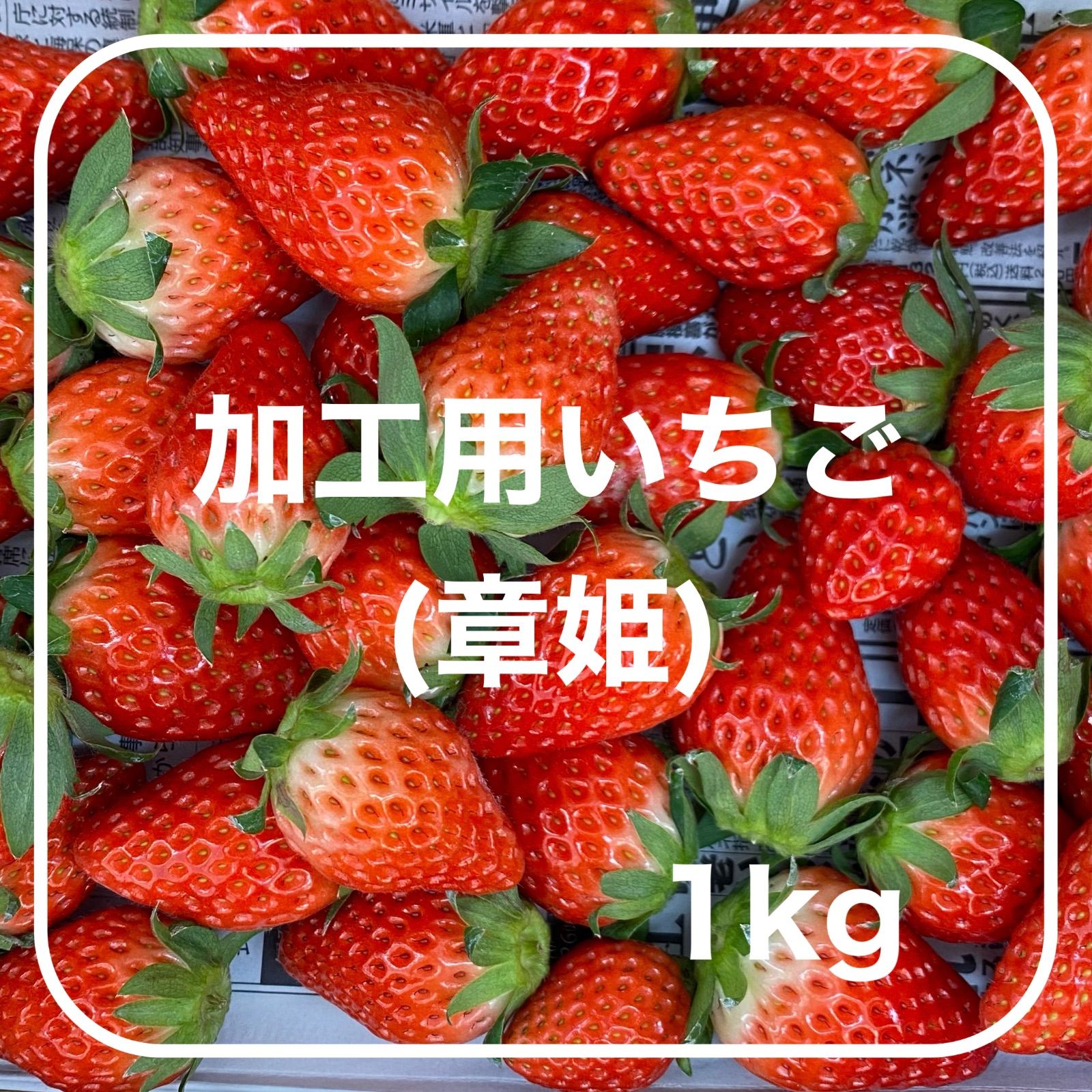 加工用いちご(1kg)※章姫※ - いちご庵 - メルカリ