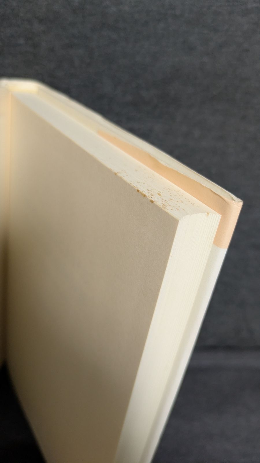 現代中国語における 表現の意味分析