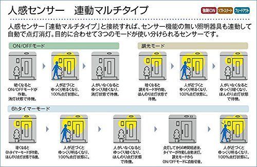 昼白色