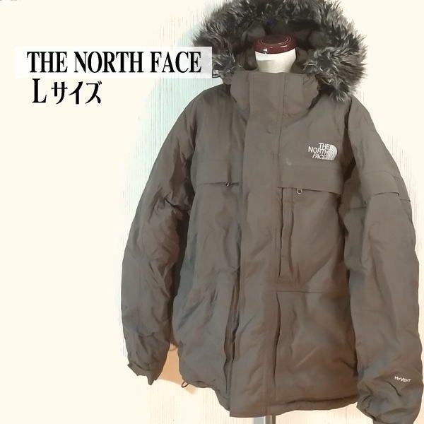 THE NORTH FACE ザ ノースフェイス ダウン Lサイズ アイスジャケット 