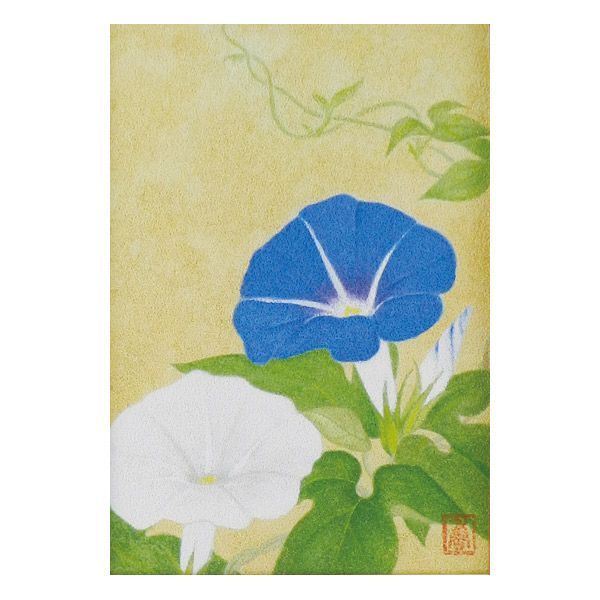 鈴木 香『朝顔』SM号 日本画 あさがお 夏 七夕祭り 季節掛け 植物 吉祥開運