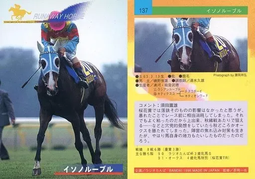 第52回オークス イソノルーブル 20ぬいぐるみ Lサイズ アバンティー 希少 2025年最新】イソノルーブルの人気アイテム - メルカリ