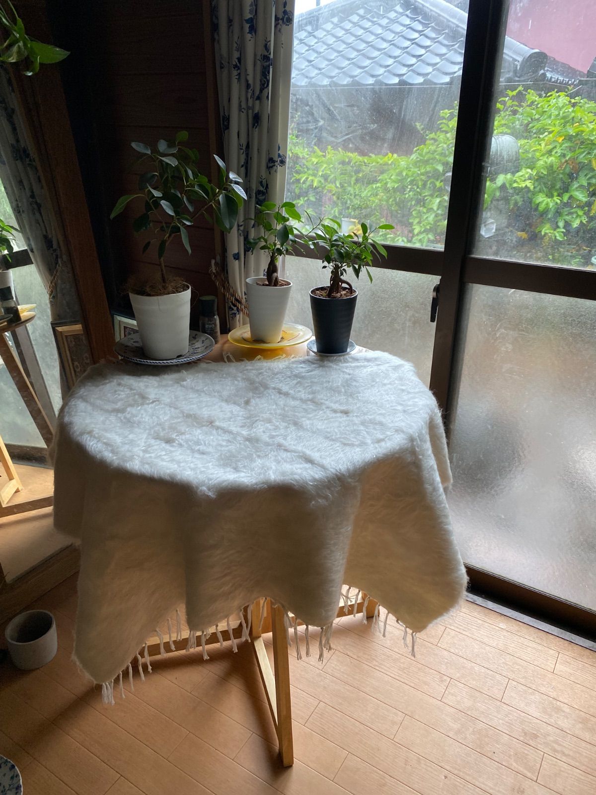 の新しい白ねシイルトバッタニイェ最後の一枚