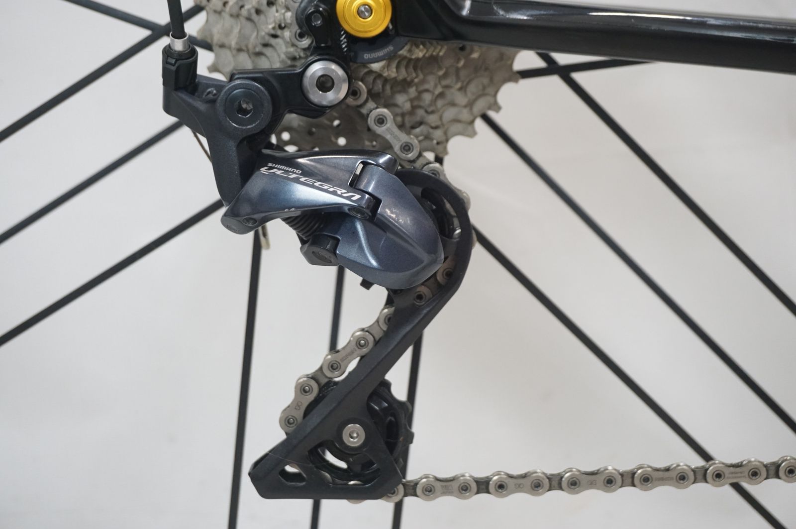 CAYO 2017年モデル