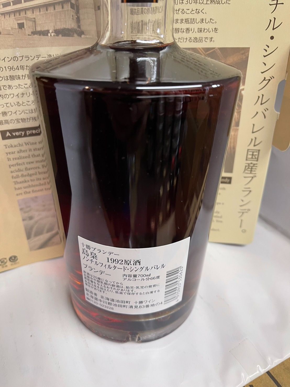 島梟