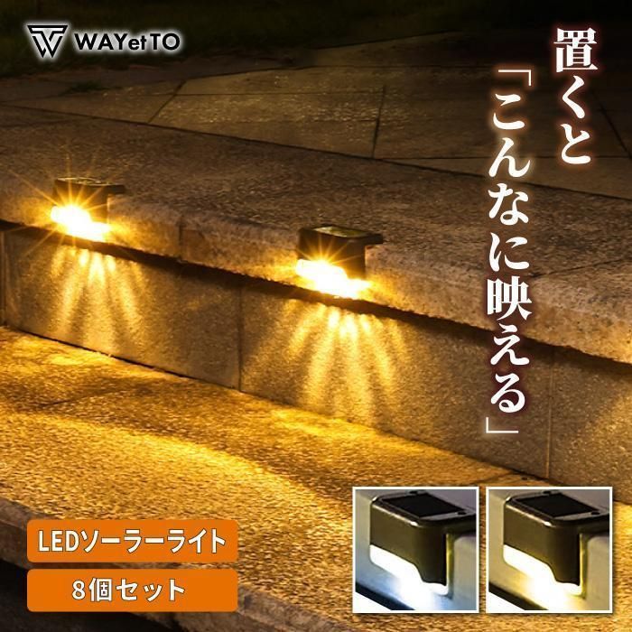 Cartamundi カジノカード12個セット カルタムンディ ポーカーチップ500枚