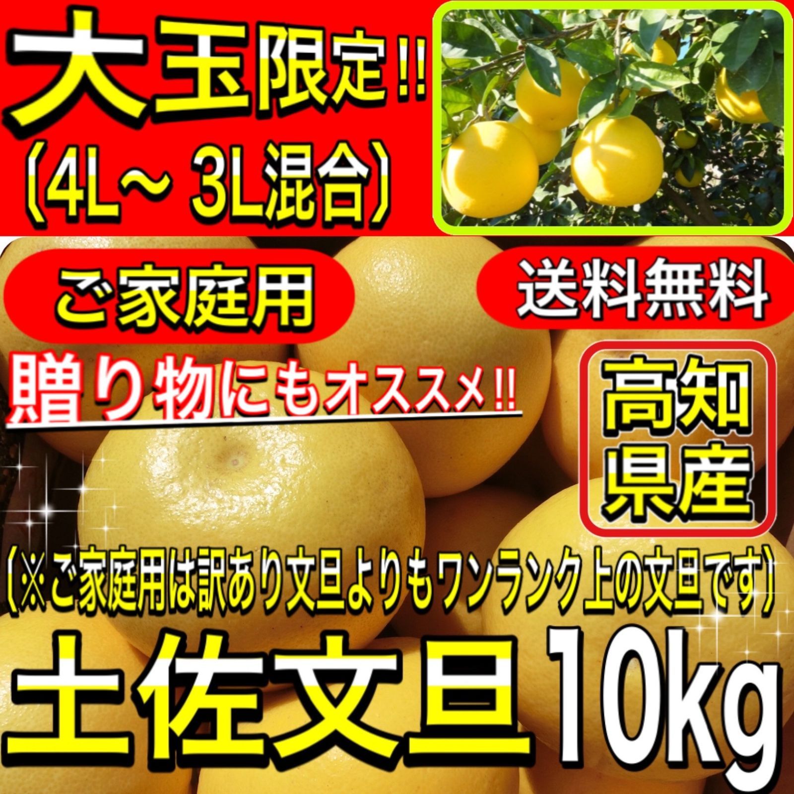 【専用ページ】高知県 文旦 ぶんたん 20kg 文旦5kg 大玉 高知 家庭用 高知 高知県 土佐文旦 (2L～4L