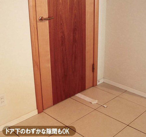 フラットコード 白