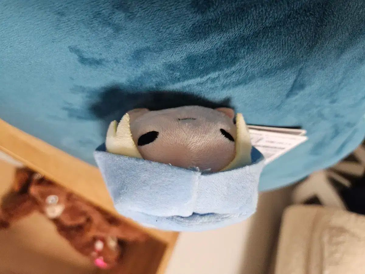 どきゅーとぷち SAKAMOTO DAYS 特大ぬいぐるみ 坂本太郎 坂本 サカモト