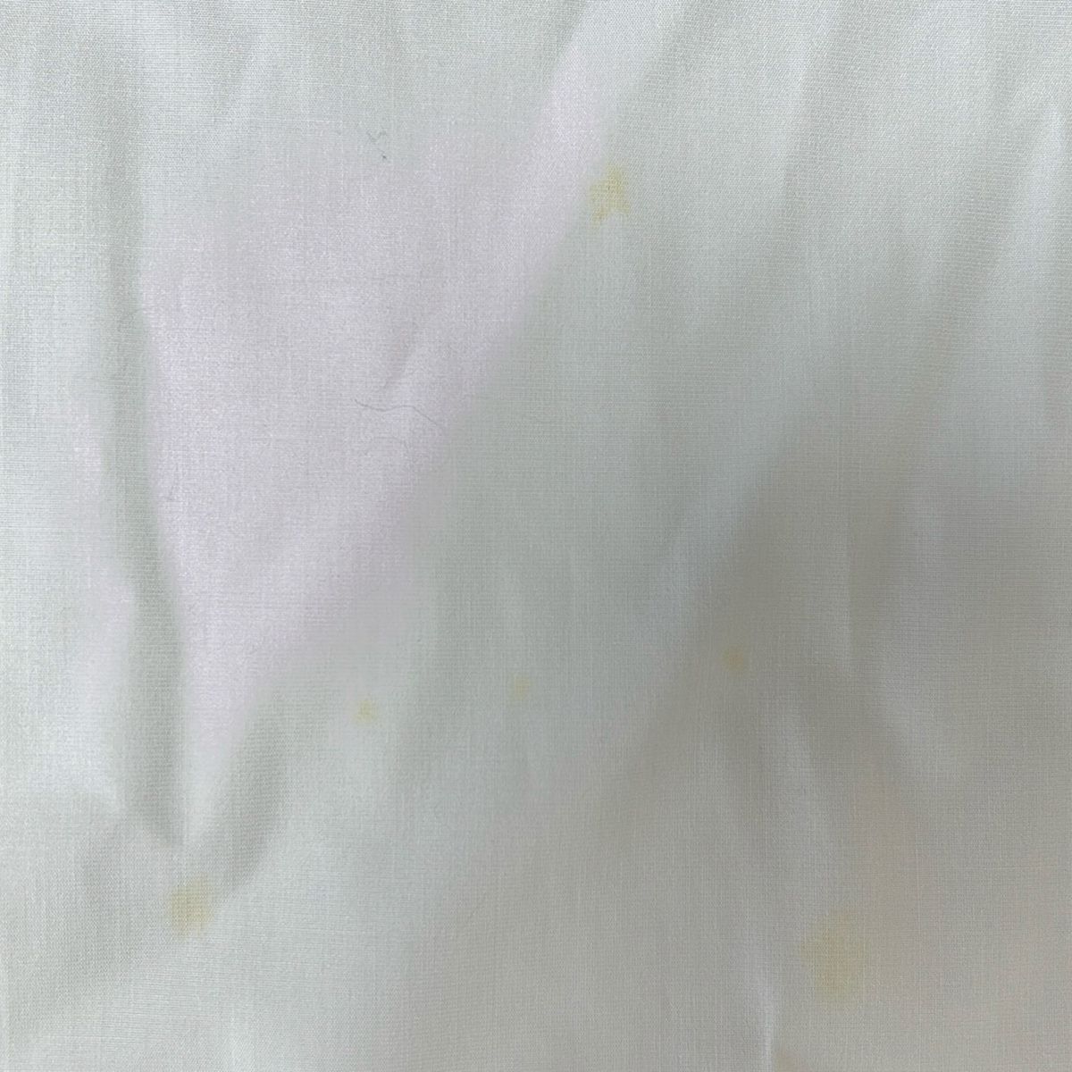 René - Rene(ルネ) 半袖シャツブラウス サイズ38 M レディース - 白×ピンク リボン Rene(ルネ) 半袖シャツブラウス サイズ38 M レディース - 白
