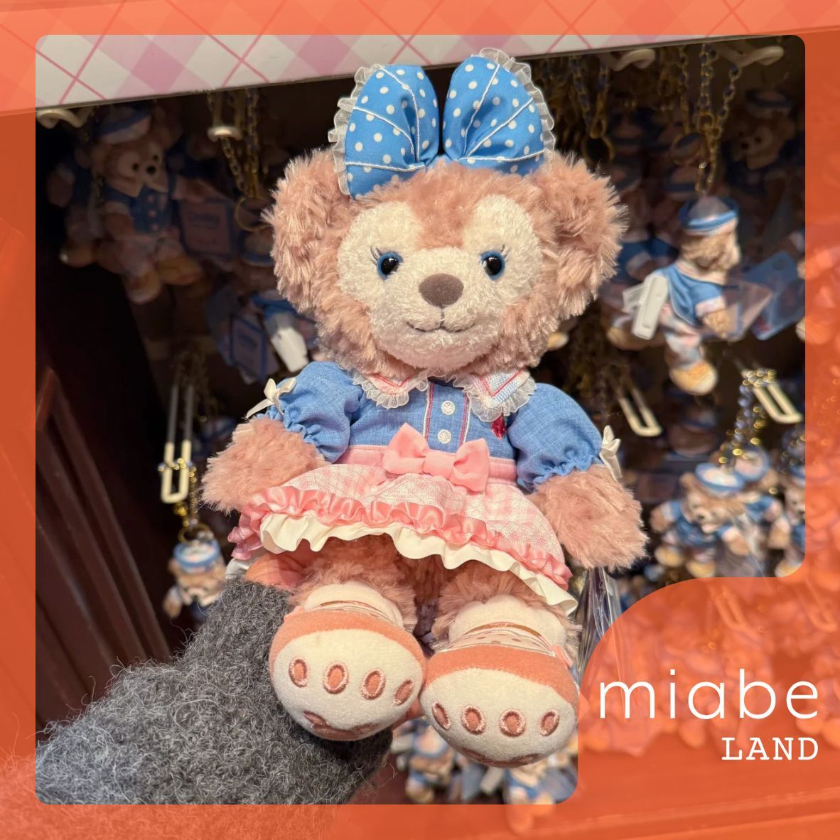 Group B｜10~15営業日国内倉庫発送｜miabe LAND｜香港ディズニー