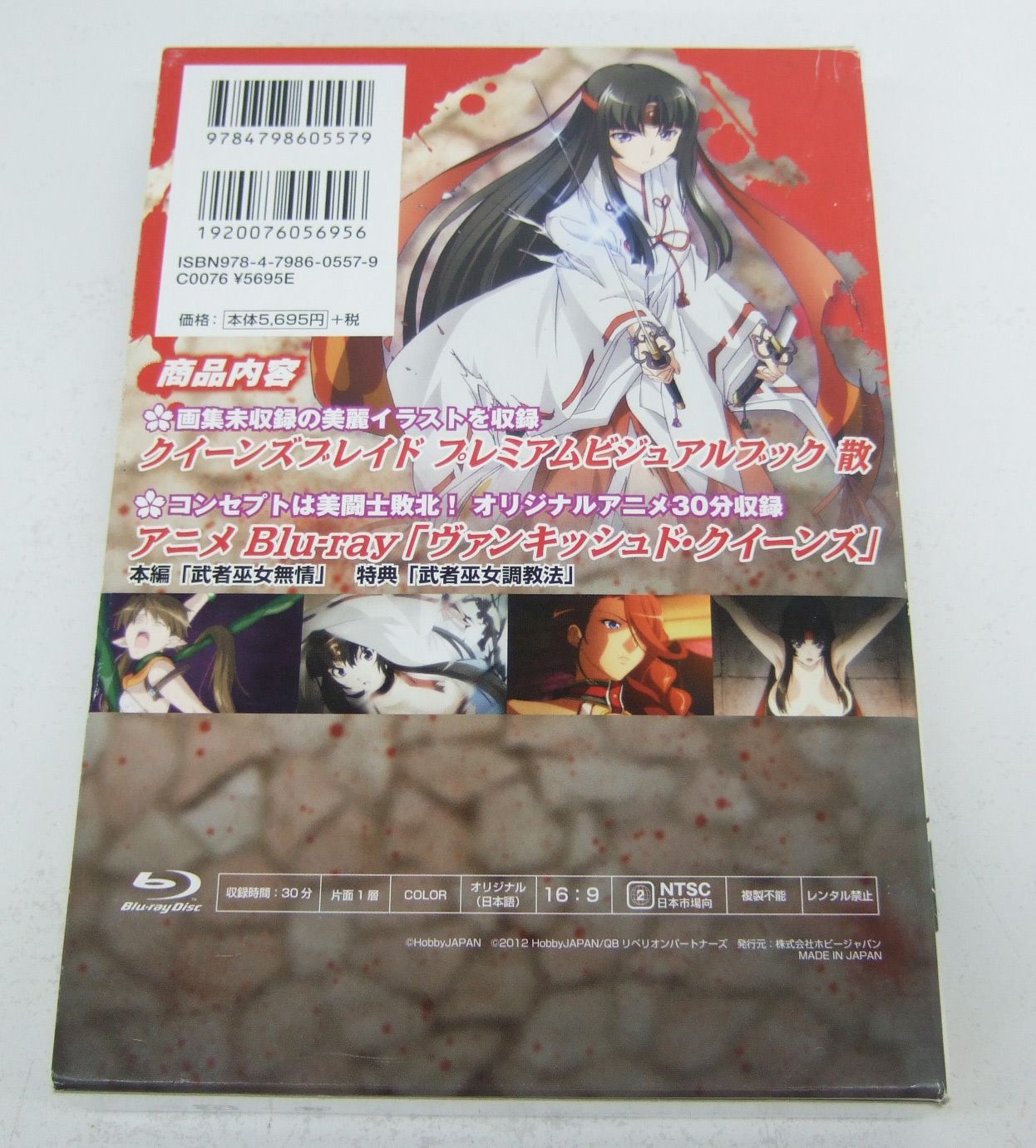 クイーンズブレイド プレミアムビジュアルブック 散 - メルカリ