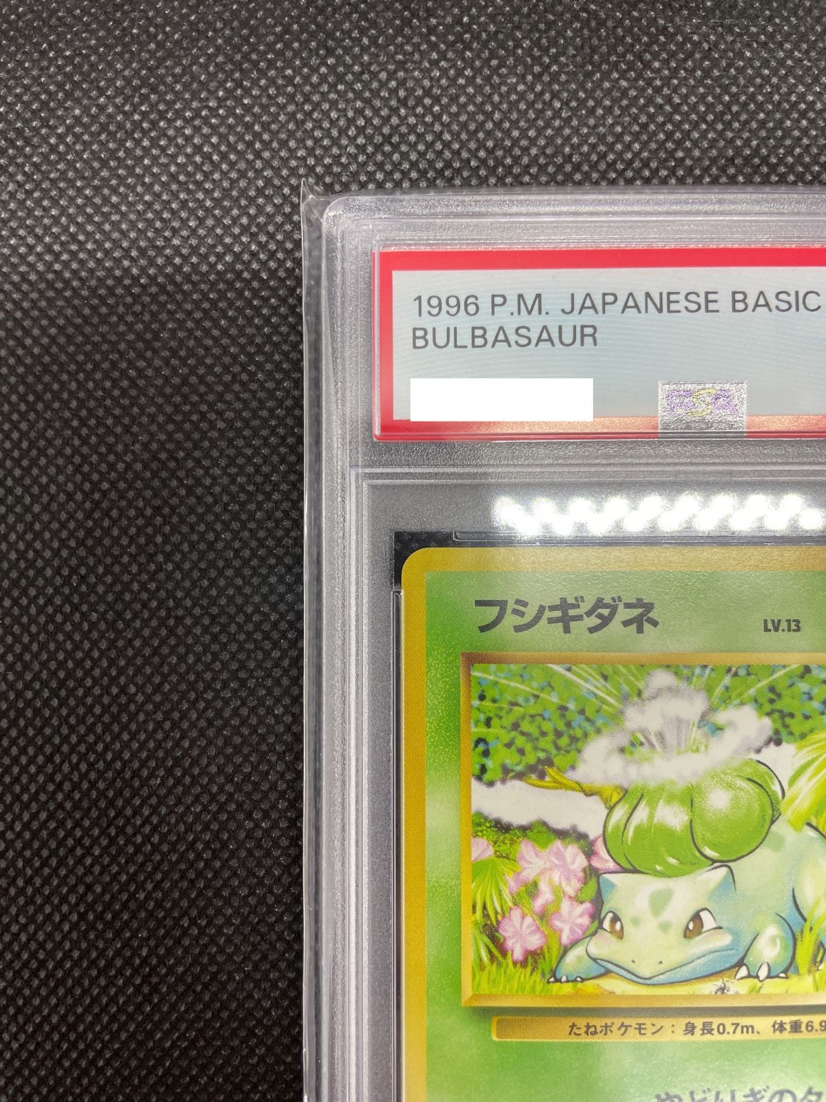 【PSA10】フシギダネ LV.13 旧裏 拡張パック第1弾 PSA10】ポケモンカード 旧裏面 フシギダネ LV.13 ポケカ 拡張パック第1