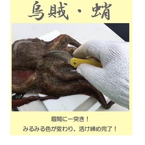 G・SAKAI / ジー・サカイ サビナイフ 9 SHARK-RAY シャークレイ SABI