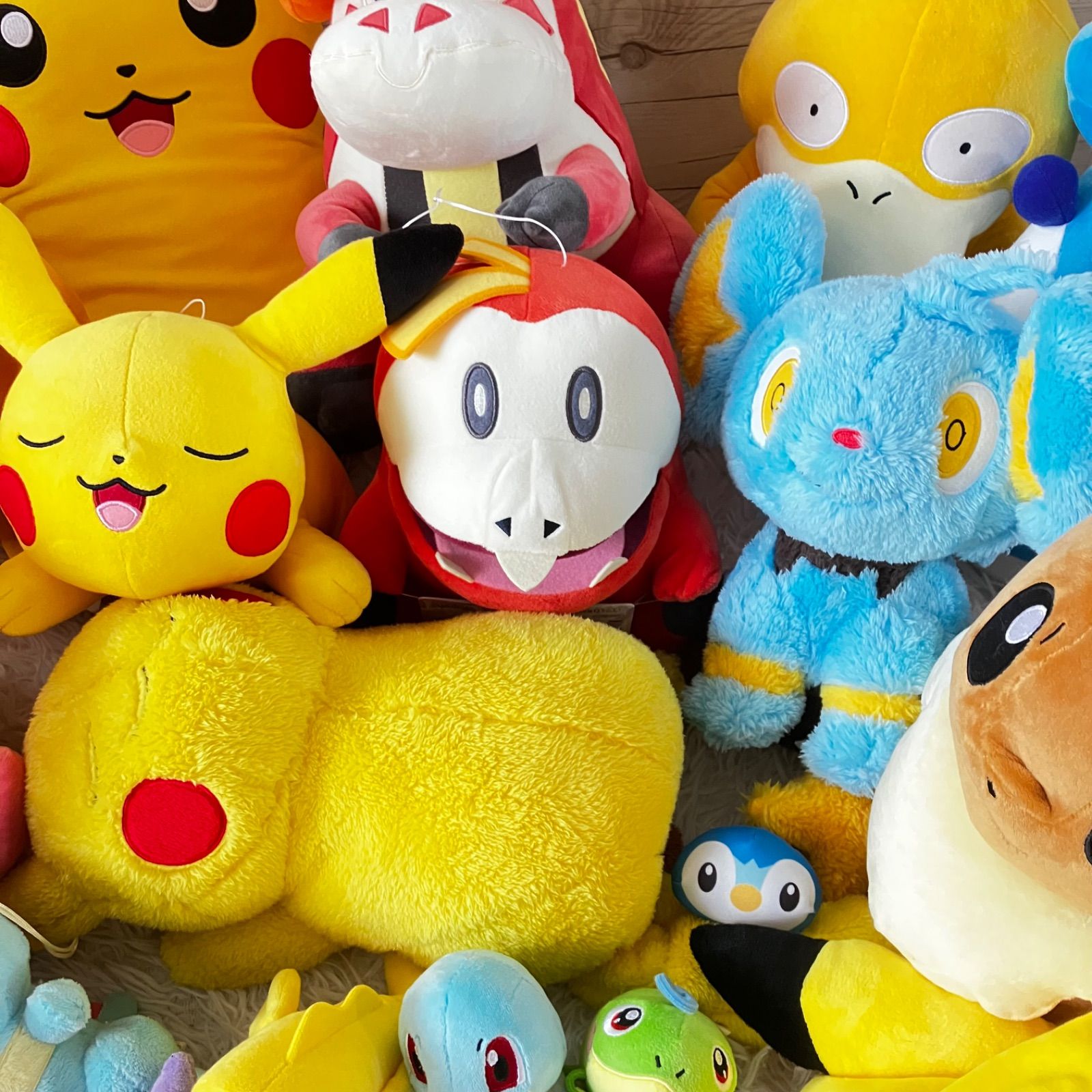 ポケモン ぬいぐるみ 22点セット 大量まとめ売り