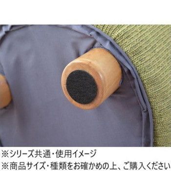 PET-61GR