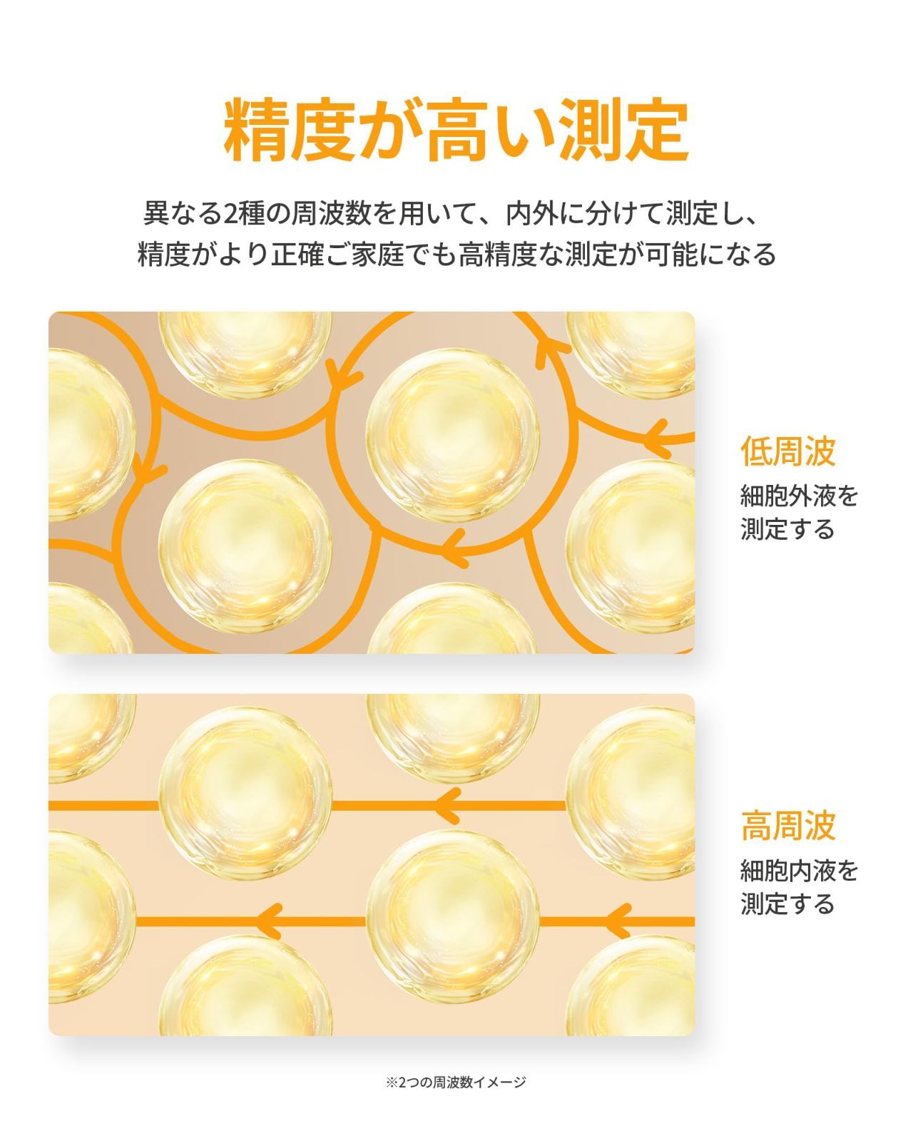 スマホ連動 体組成計