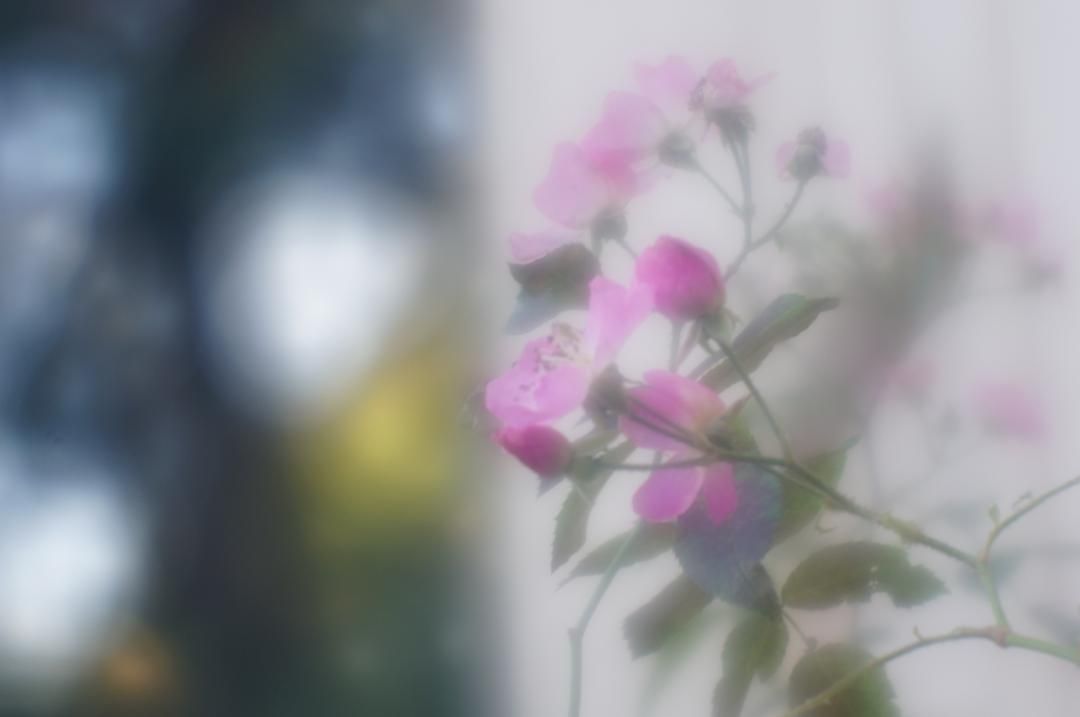 清原光学 キヨハラ VK70R ソフトフォーカス試写済 - メルカリ