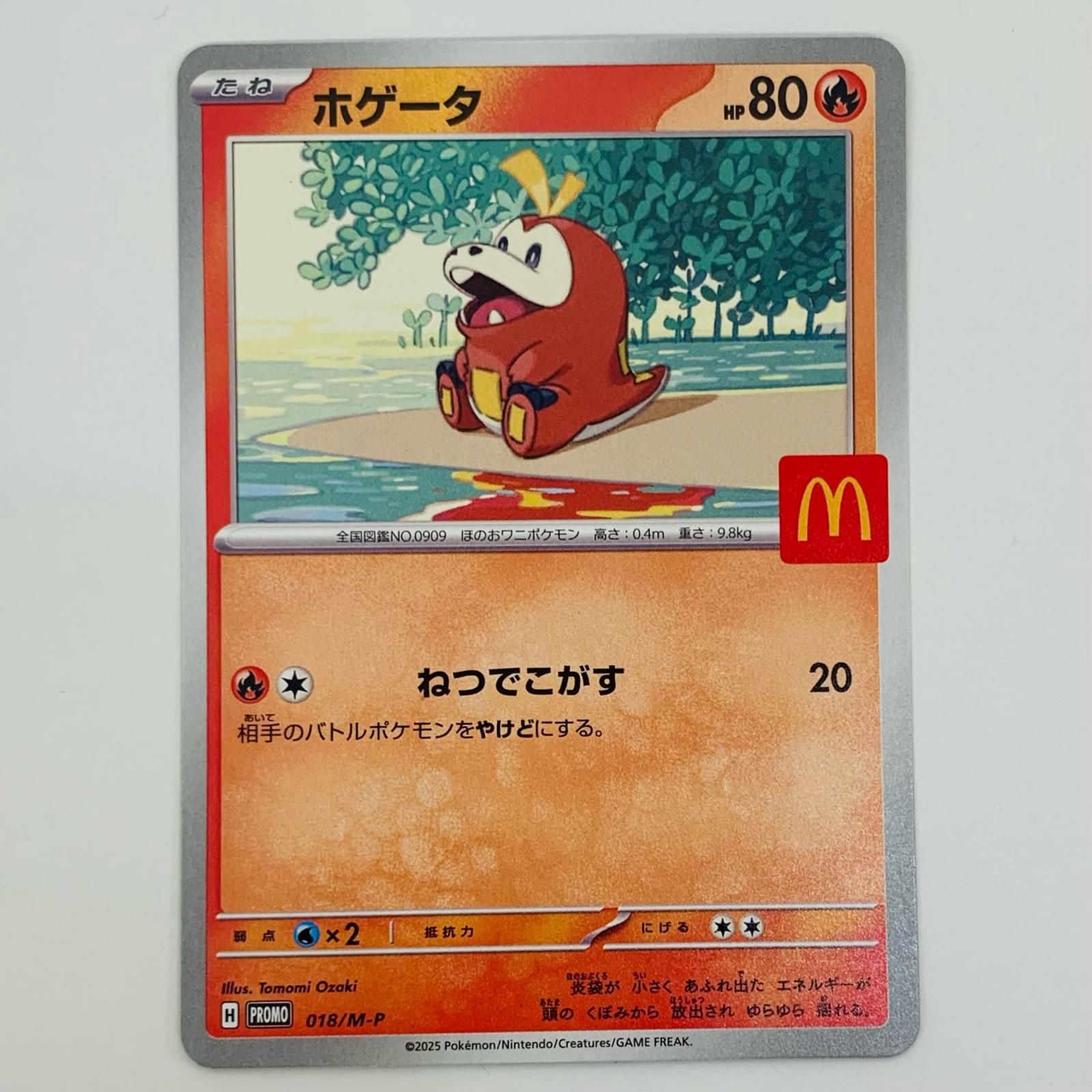 中古 トレーディングカード ホゲータ - 018/M-P ポケモンカード