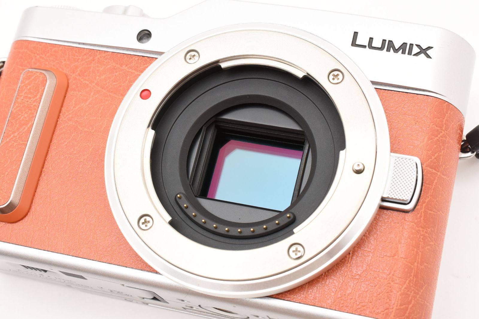 355ショット！PANASONIC LUMIX GF10 ミラーレスカメラ 本体 極上品
