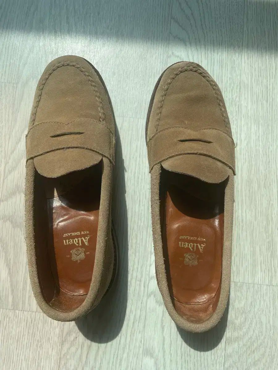 ALDEN オールデン 6244 7d