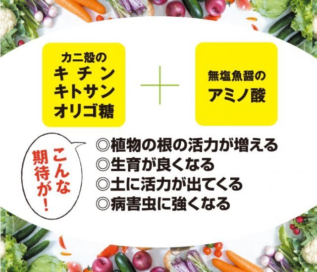 無農薬栽培 有機野菜に