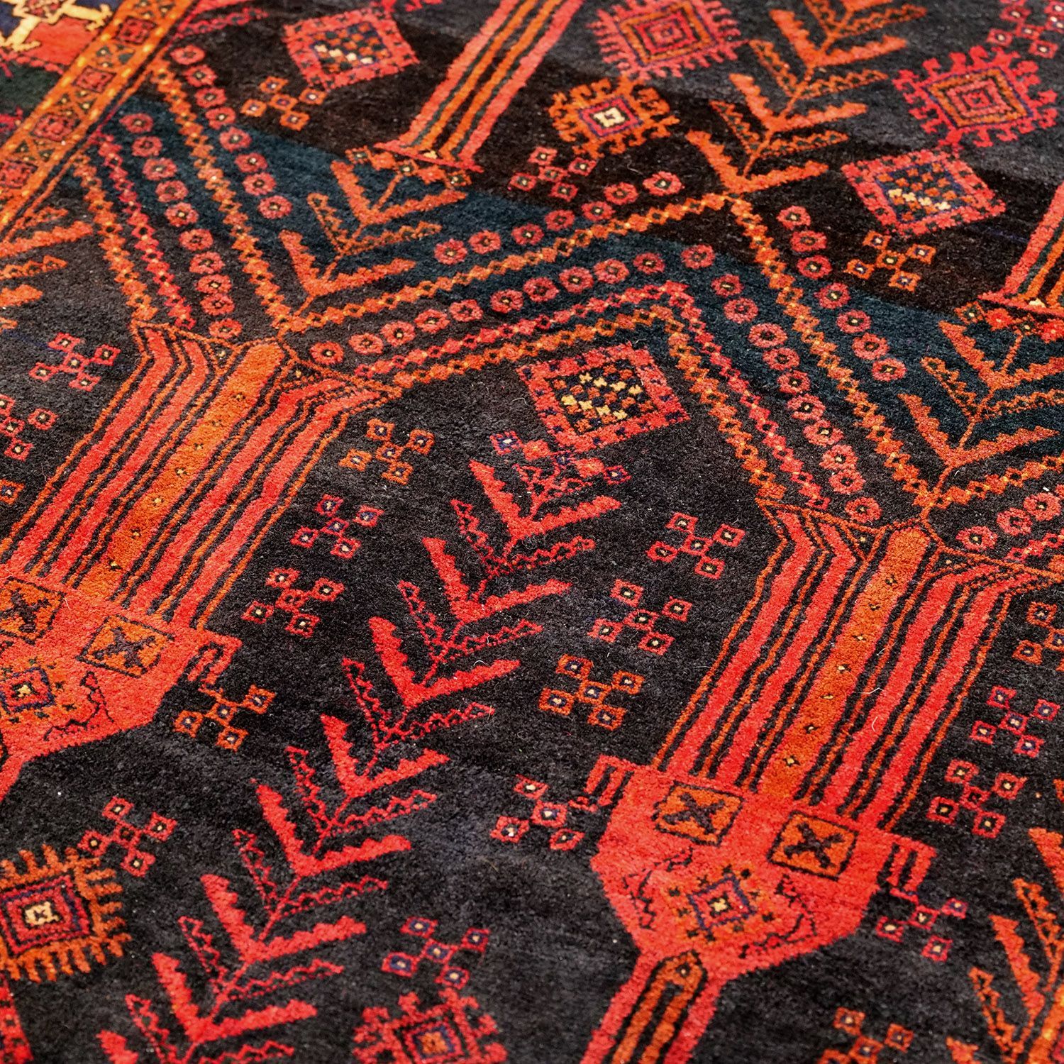 ザーボル 1950年代