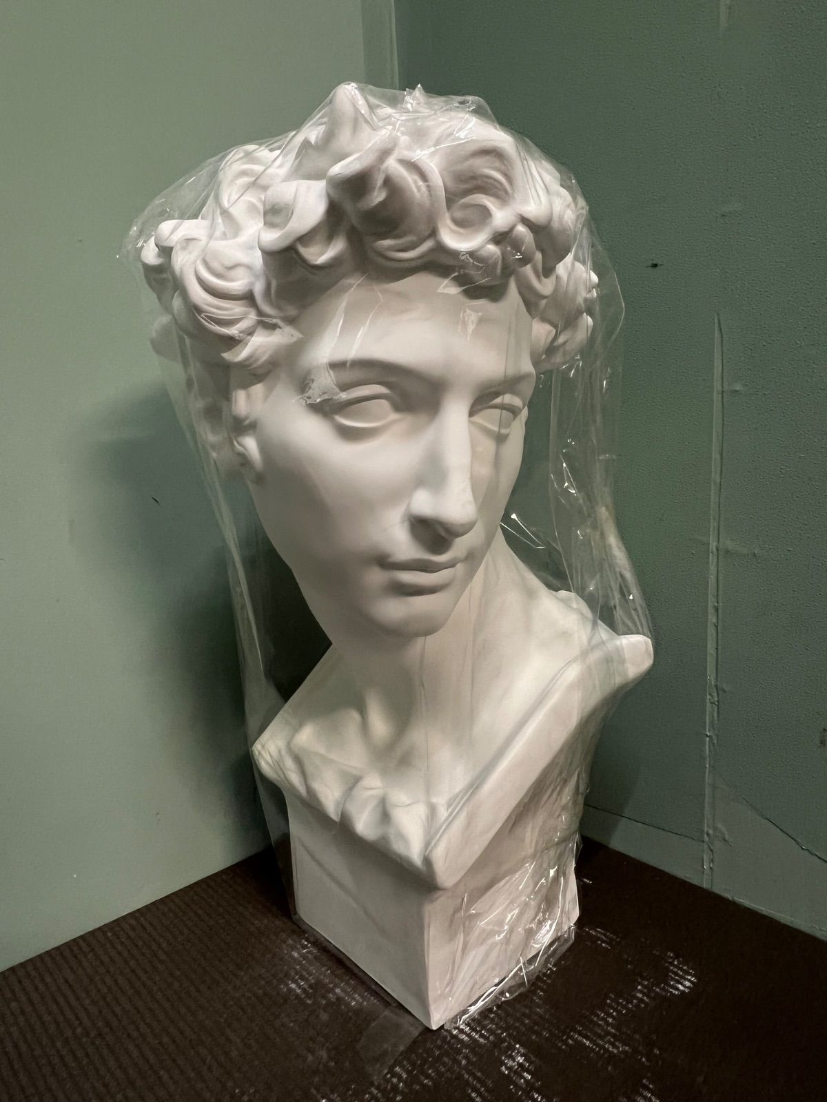 ショップ ⭐︎ 美術 石膏像 胸像 美術 彫刻 デッサン メディチ 石膏