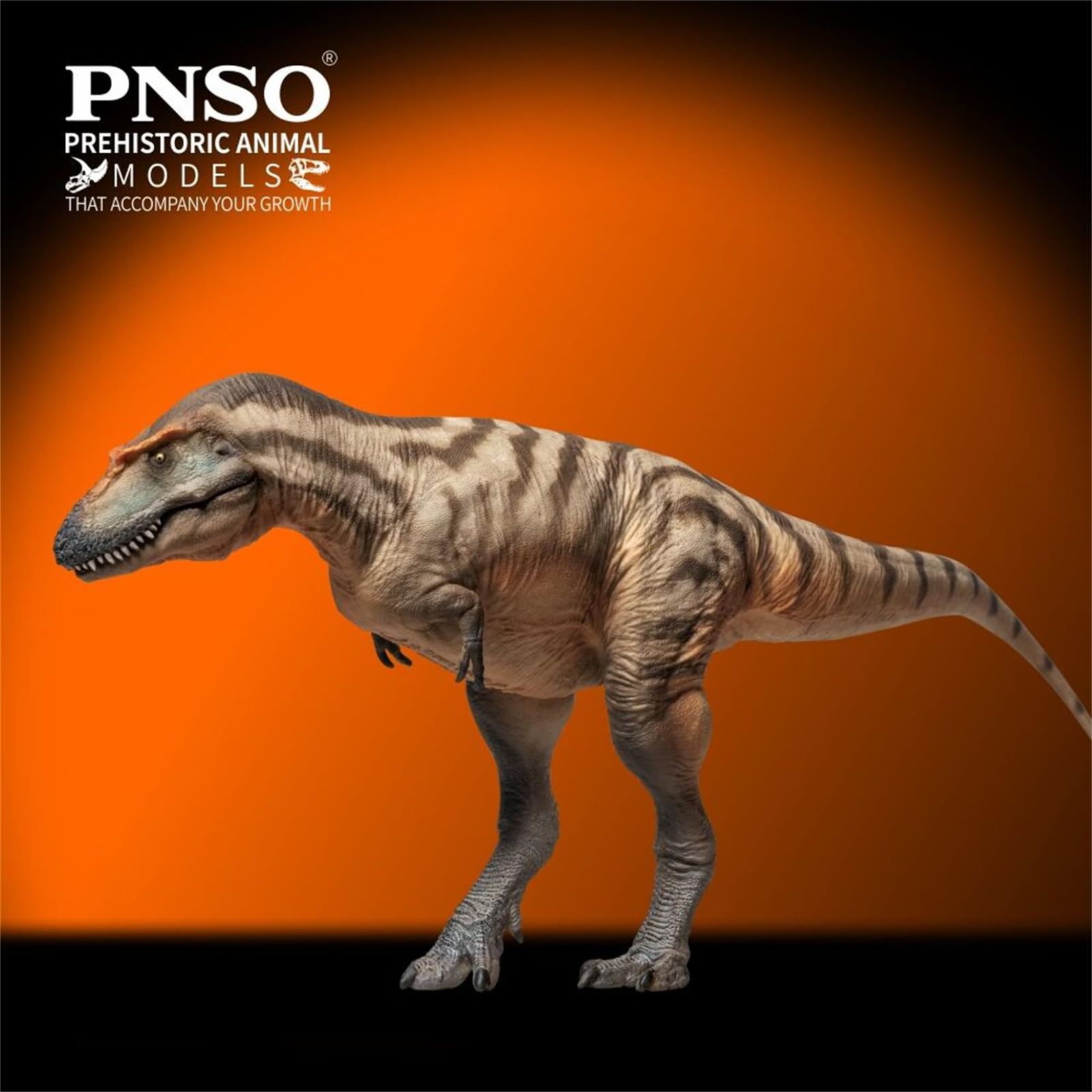 BACALYSO | PNSO 成長シリーズ 71 ゴルゴサウルス フィギュア