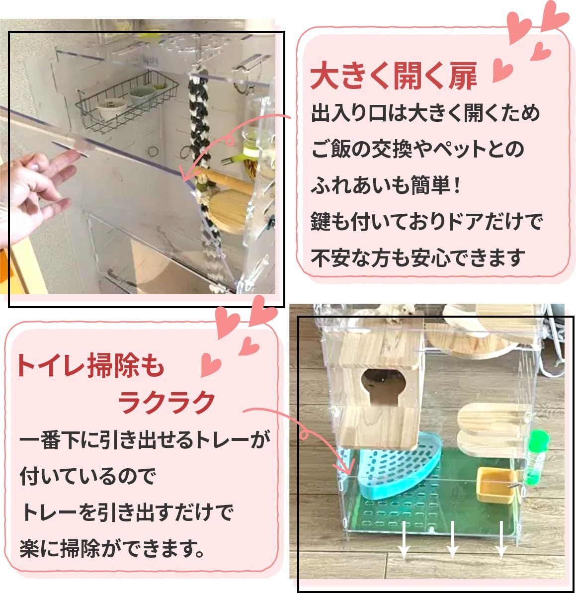 フクロモモンガ