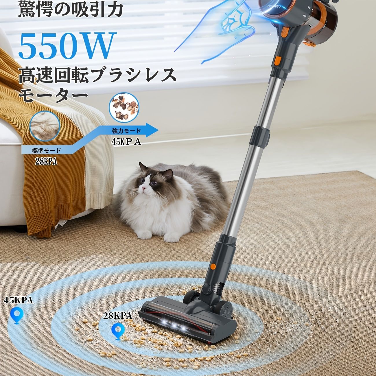 IN1
