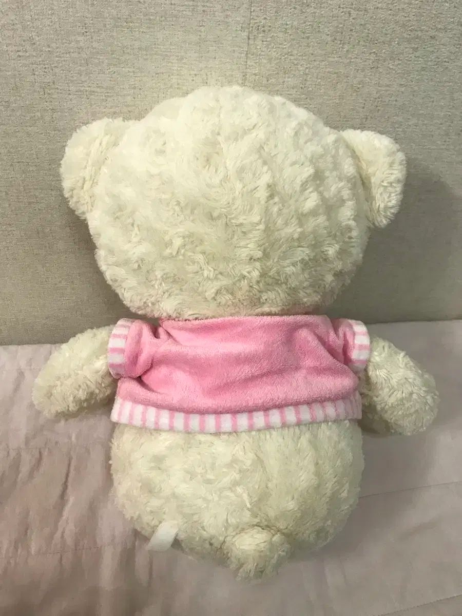 ベア テディベア