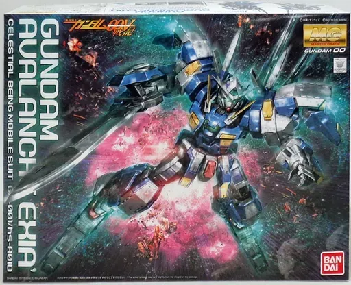 2026年最新】1/100 MG GN-001/hs-A01D ガンダムアヴァランチエクシア