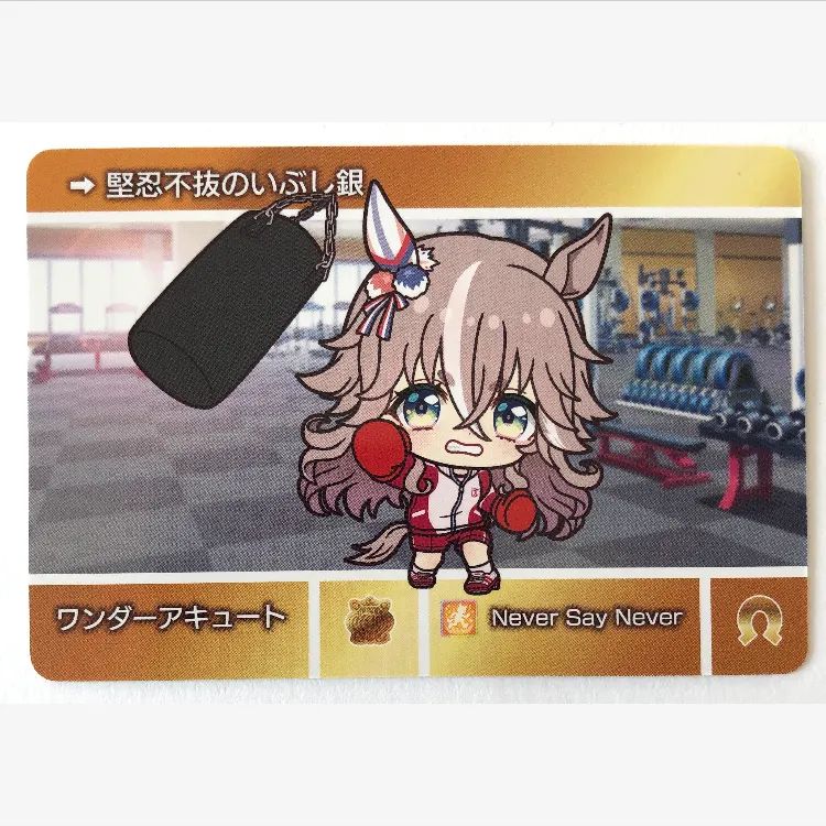 073]☆ウマ娘☆プリティーダービー カードダス〈ワンダーアキュート