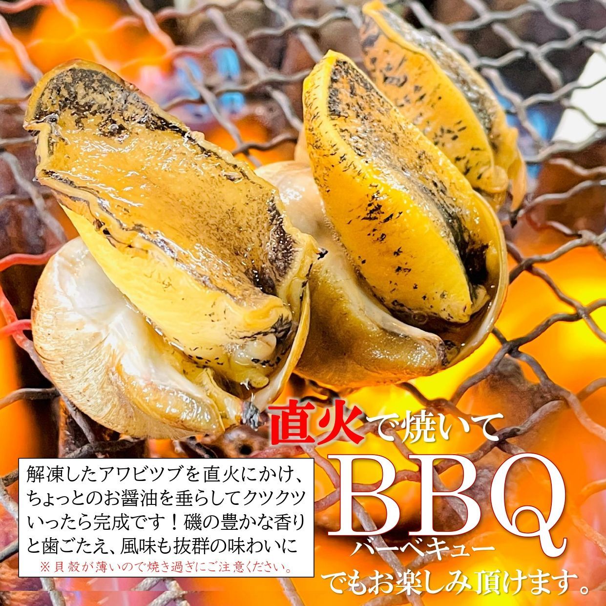 あわびつぶ 1kg/袋（約30粒前後）青森県産 天然物 モスソガイ 煮てもかたくならない 煮つけ・おでん・バター焼きにもどうぞ