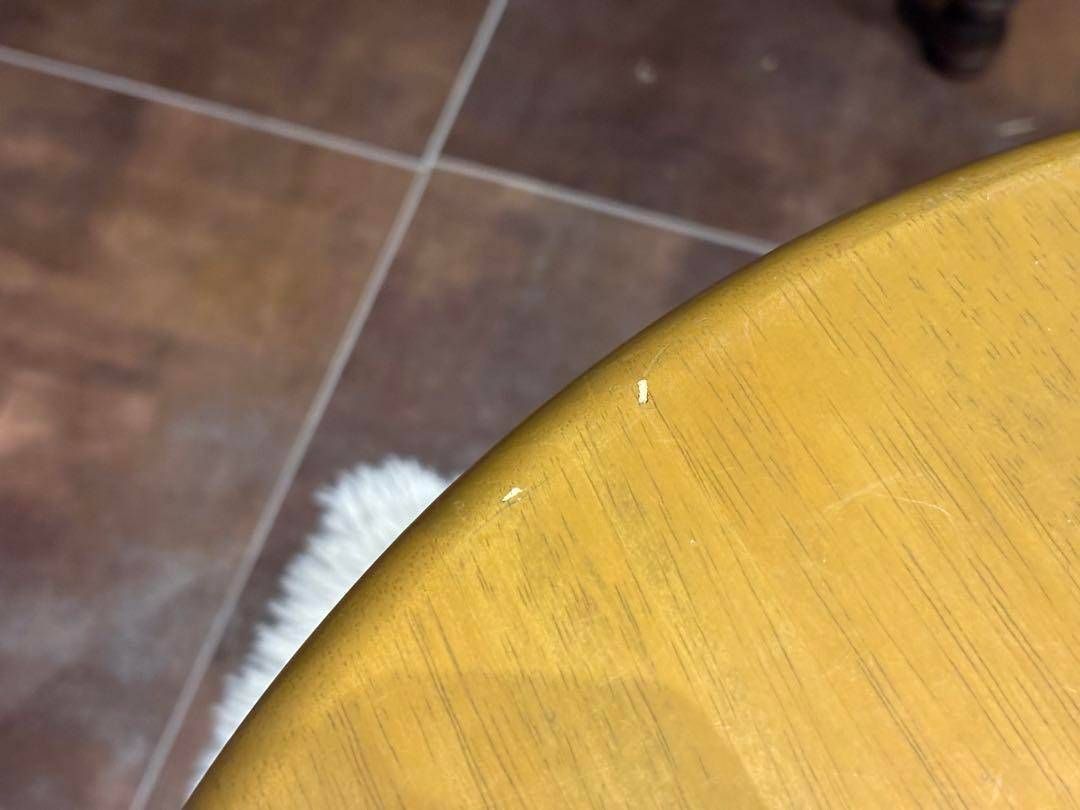 ラウンドテーブル SH