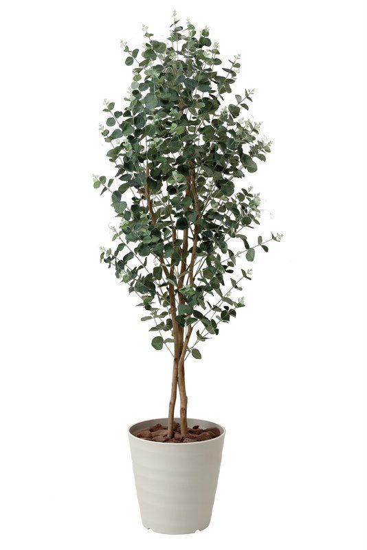 光触媒観葉植物 ユーカリ1.55/光触媒〔フロアタイプ(ハイサイズ)〕/光触媒 観葉植物 ウンベラータ フェイクグリーン 花 胡蝶蘭 開店祝い 開業祝い 誕生祝い 造花 アートフレーム おしゃれ 飾
