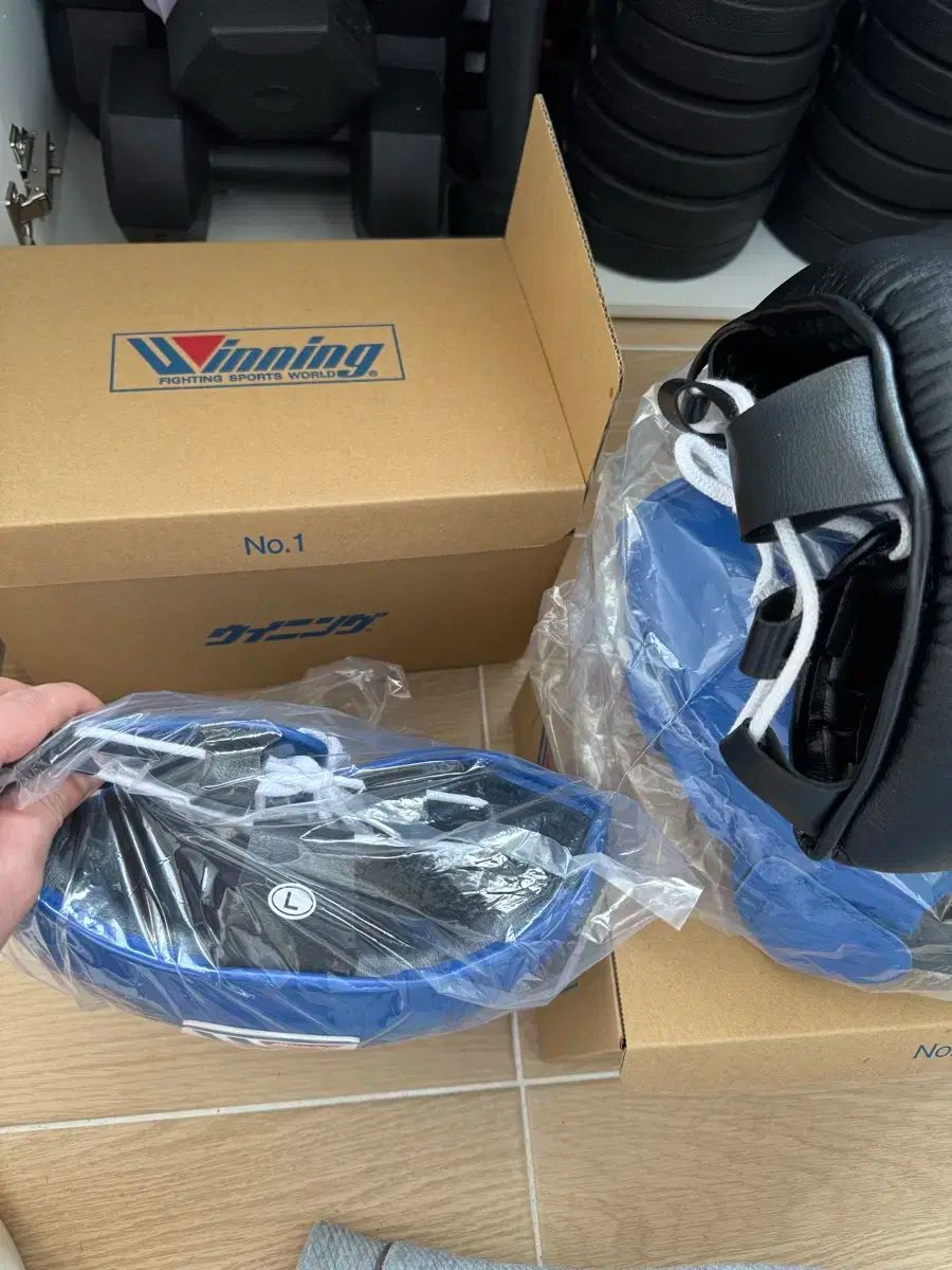 ミシシに到着 新品 ウィニング ( Winning ) T ヘッドギア ブルー