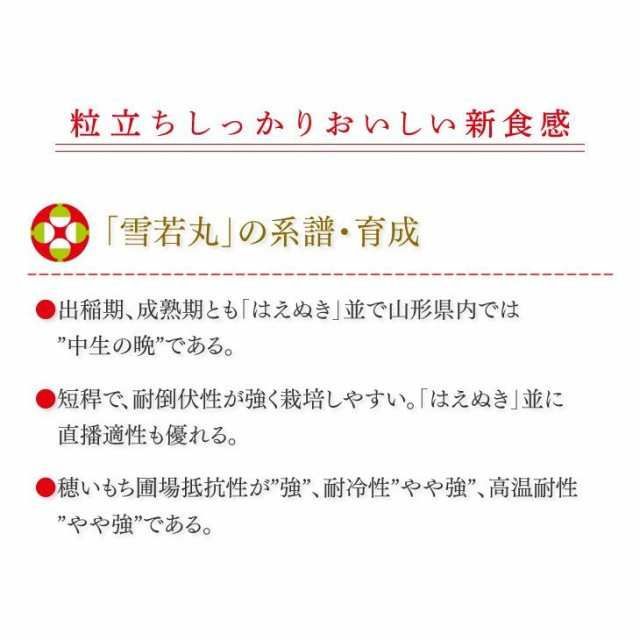 精米