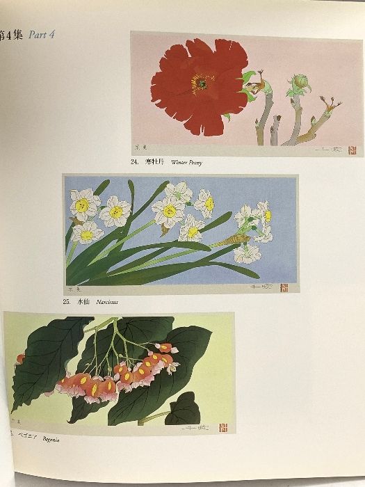 図録 中島千波 木版画10年の軌跡 現代に生きる伝統木版画の世界